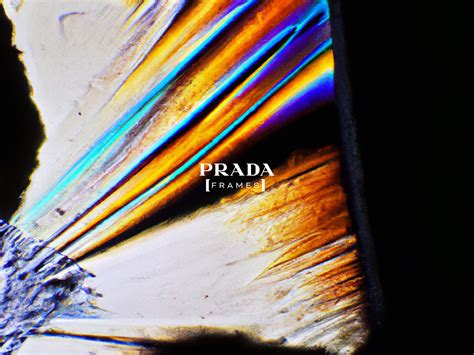 Prada Frames: Materials in Flux 